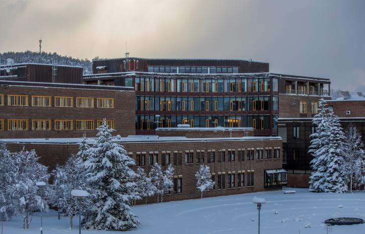 Universitetet i Tromsø i vinterdrakt