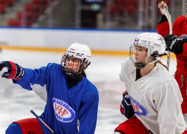 Temaside likestilling hockeyspillere (Tomas Gunnarsson)