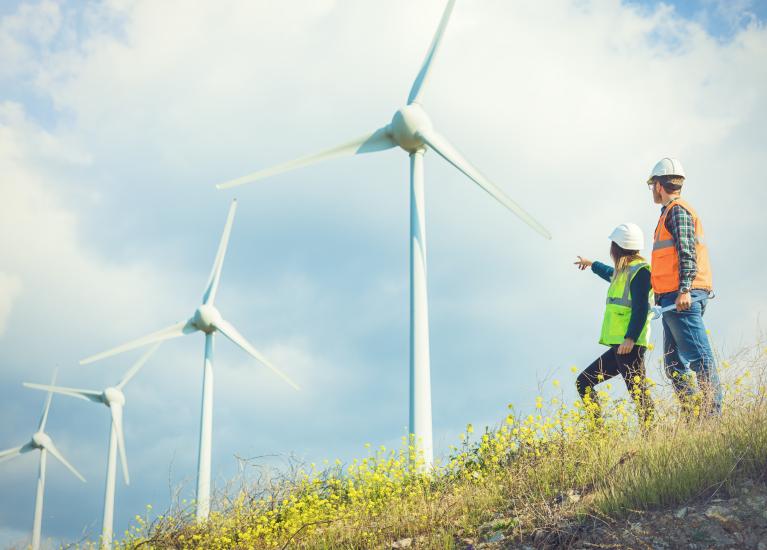 Front page policy brief gender equality and green transition of labour market