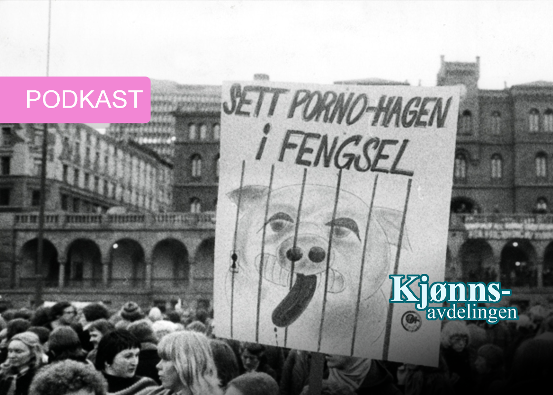 Bildet viser en demonstrasjon der feminister holder en plakat der det står "Sett porno-Hagen i fengsel" og tegning av en gris i bur 